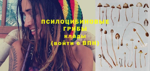 молекула духа Алексин