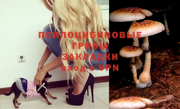 молекула духа Алексин