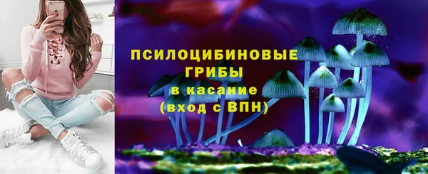 молекула духа Алексин